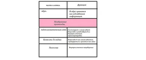 Название клеток биология 8 класс