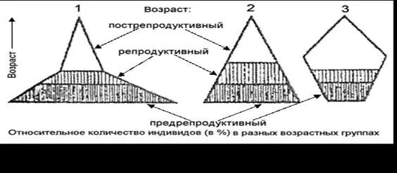 Особей в возрасте от. Особей в возрасте от