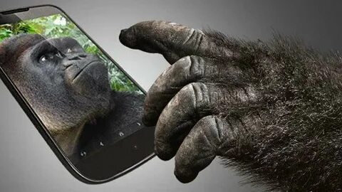 Gorilla glass