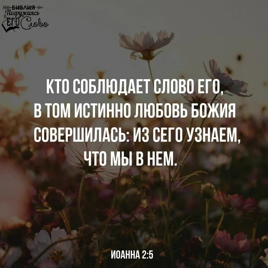 Цитаты из библии. Стих из библии любовь бога. Цитаты из библии о любви. Стихи из библии про любовь божью. Слово любовь в библии.