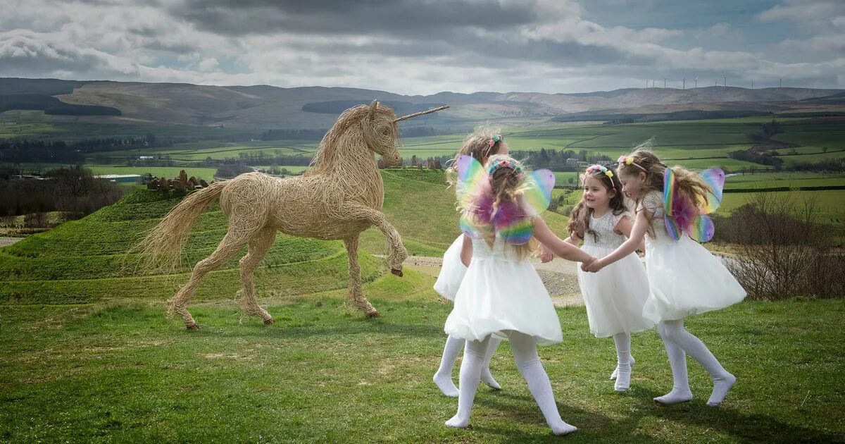 Scotland animal. Единорог Шотландия. Единорог символ Шотландии. Национальное животное Шотландии. Единорог Англия.