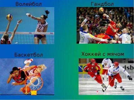 1 вид спорта с мячом