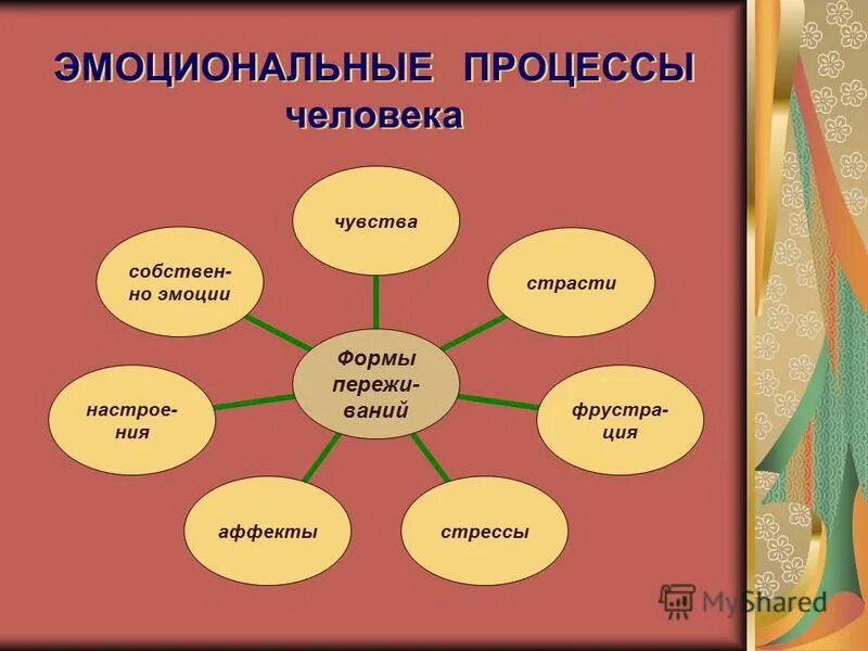 Эмоциональные процессы и состояния. Эмоциональные психологические процессы. Эмоциональные процессы в психологии примеры. Функционирование процесса эмоции и чувства.