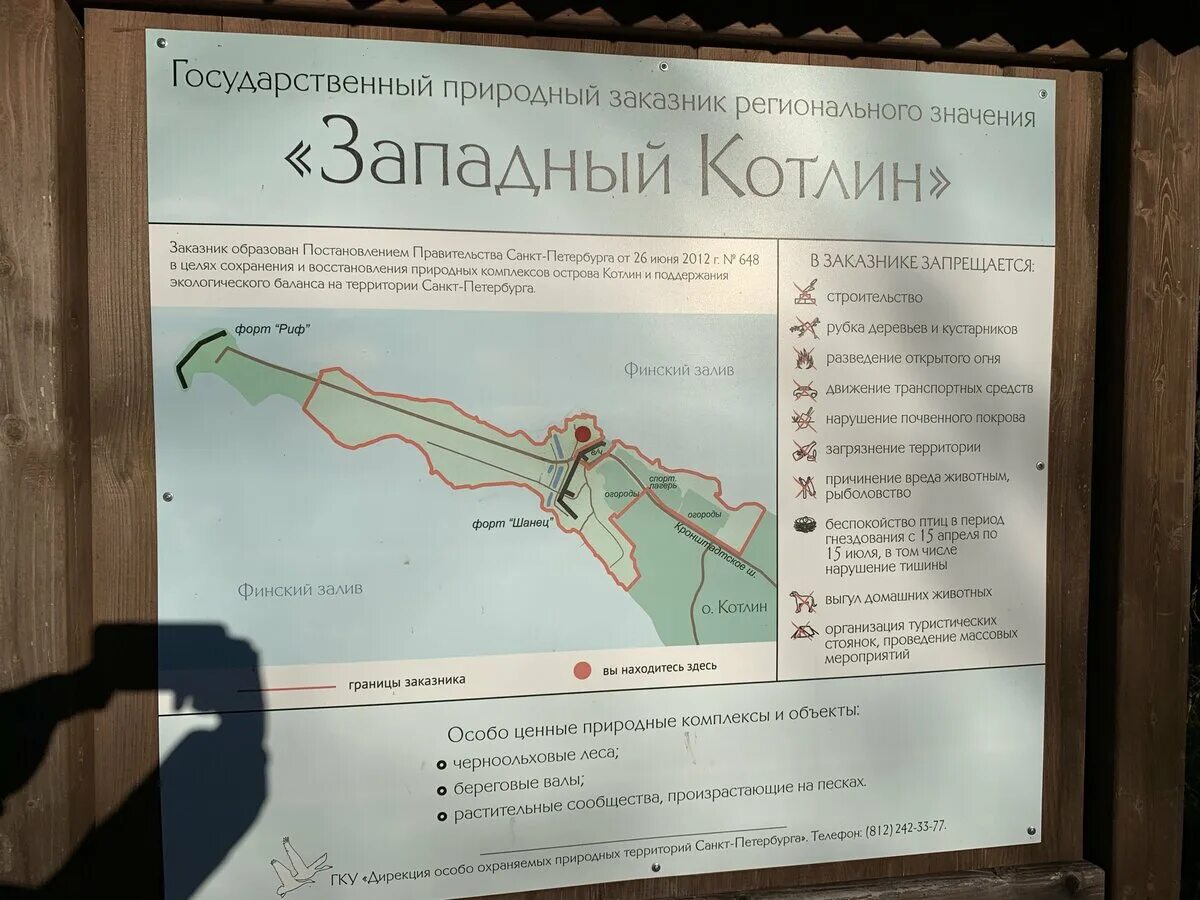 Кронштадт заказник западный котлин. Заказник западный котлин экотропа. западный котлин кронштадт эко тропа. природный заказник западный котлин, кронштадт. эко-тропа заповедник «западный котлин».