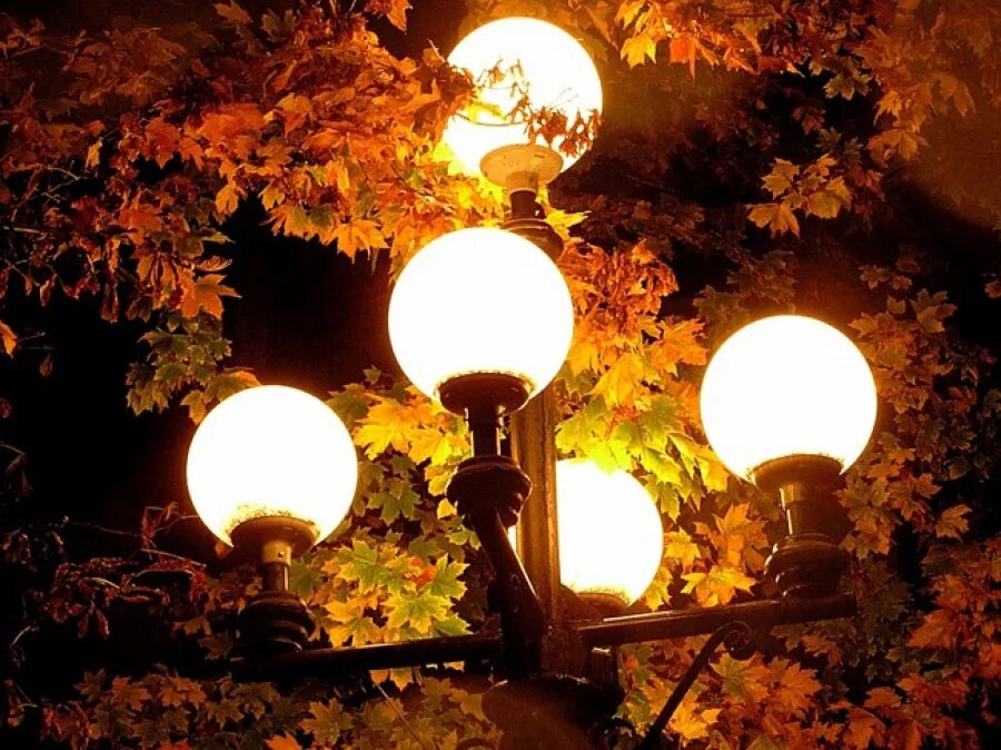 Вечер свет фонаря. Осенняя ночь. Красивые фонари. Фонарь ночью. Ночные фонари.