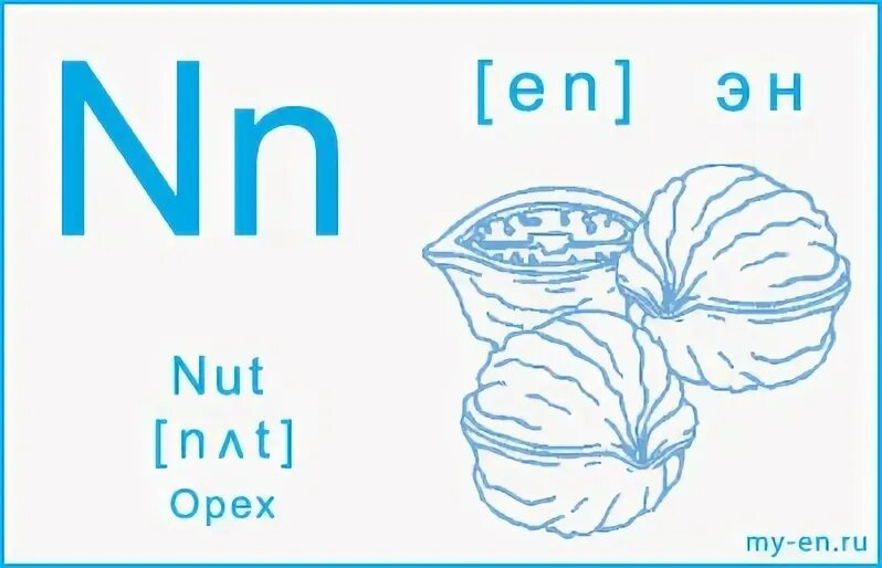 M language