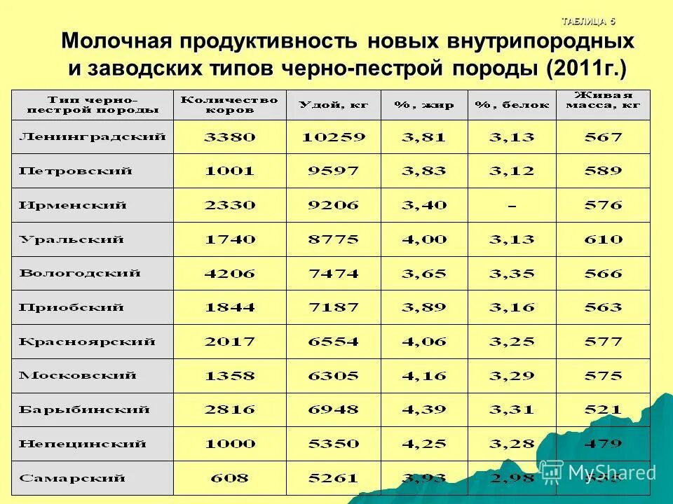 продуктивность черно пестрой породы. продуктивность черно пестрой породы. продуктивность черно пестрой породы. чёрно-пёстрая порода крс характеристика. живая масса теленка черно пестрая порода.