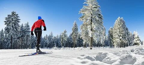 Лыжники на снегу