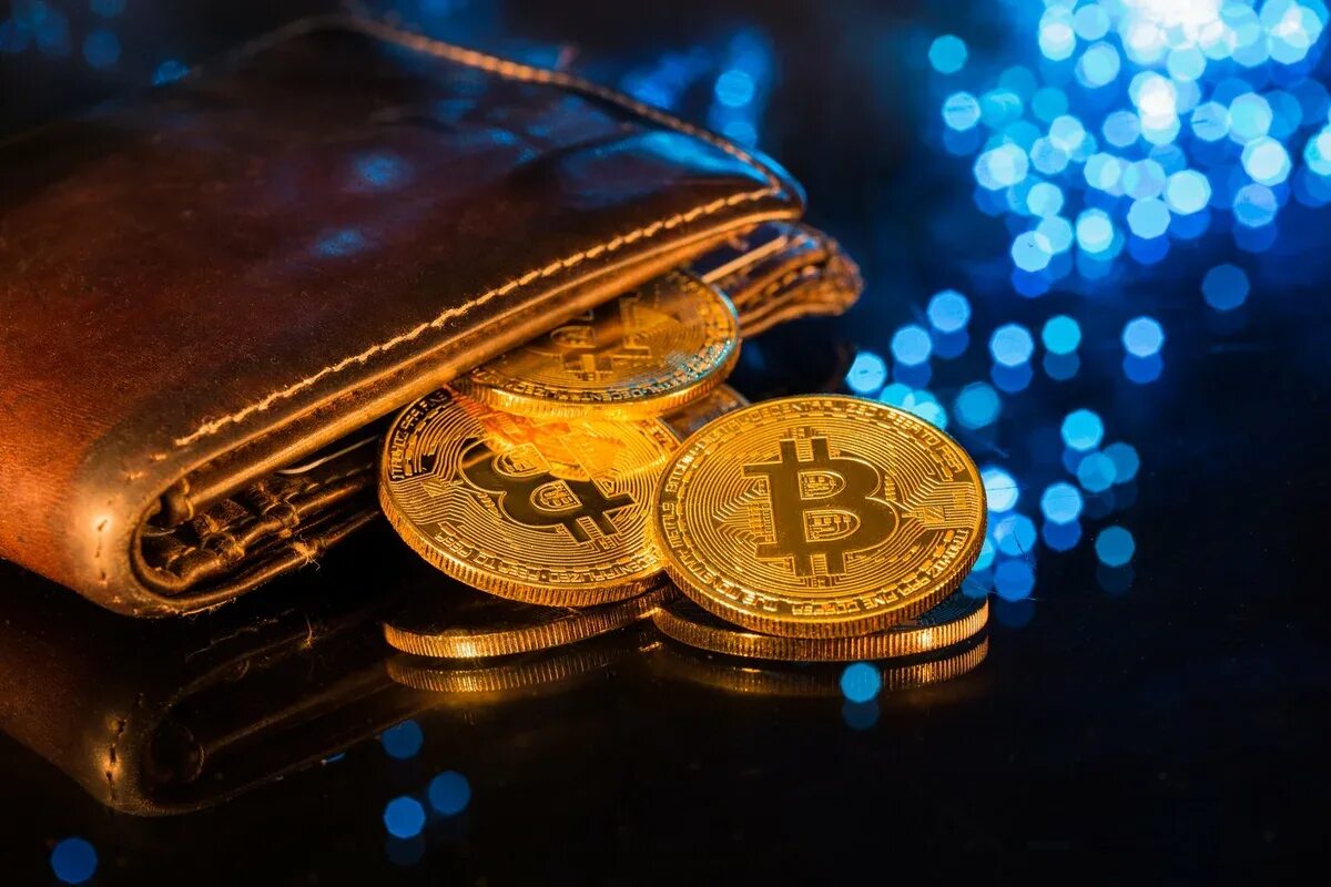 Биткоины wallet