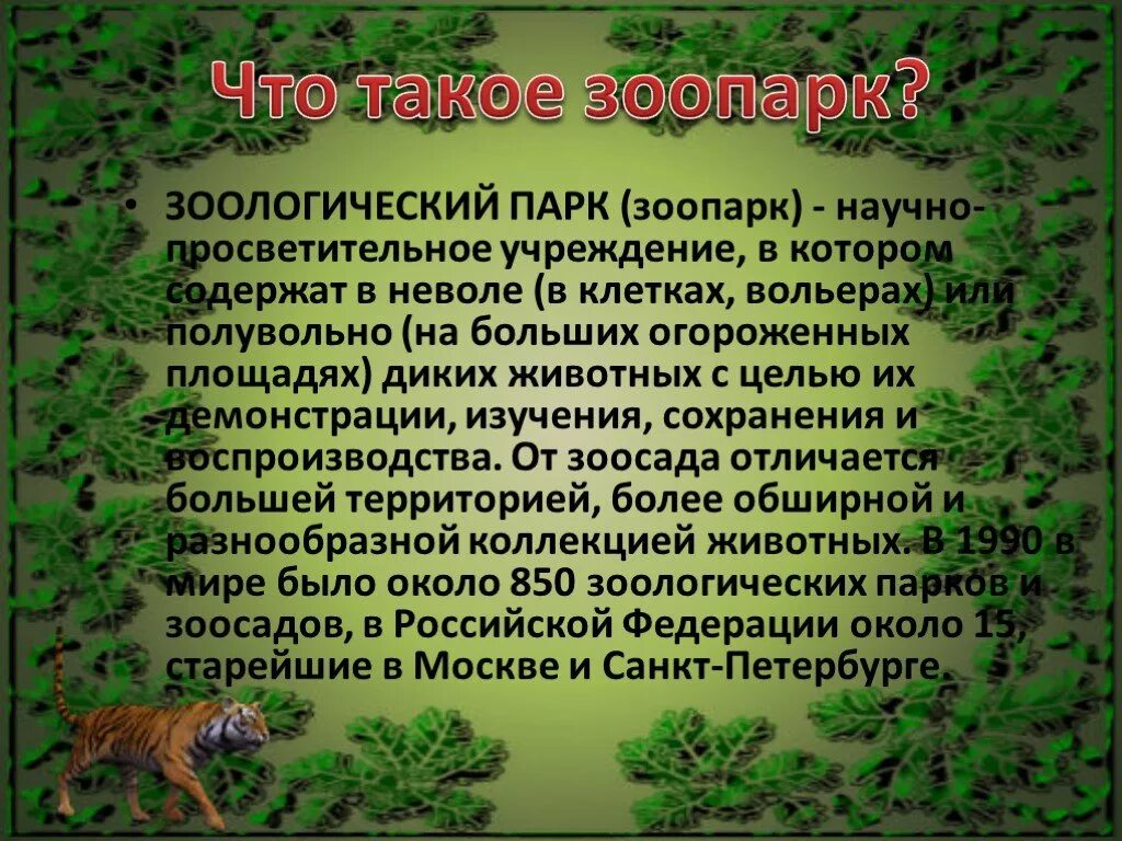 Для чего нужны зоопарки. Доклад о зоопарке. Презентация на тему зоопарк. Доклад на тему зоопарк. Проект на тему в зоопарке.