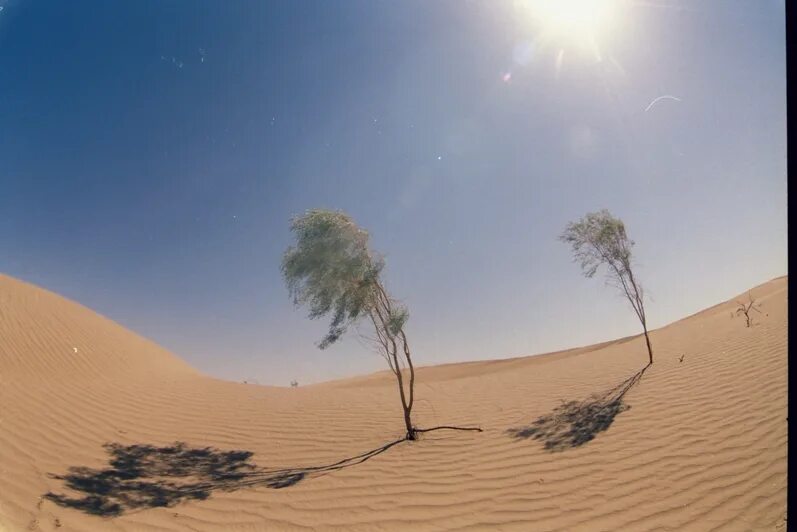 Сахара пыльная буря. Пустыня гоби песчаная буря. Хамсин в израиле. Desert wind. Знойный ветер сахары.
