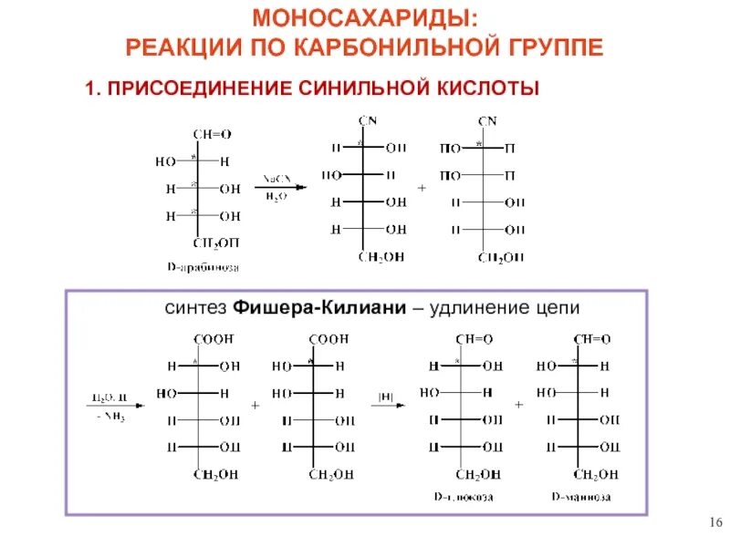 Химические свойства моносахаридов реакции. Синтез килиани фишера. реакции моносахаридов по карбонильной группе: с синильной кислотой,. карбонильная группа моносахаридов. реакции моносахаридов.