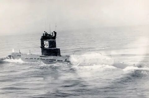 Проект 613
