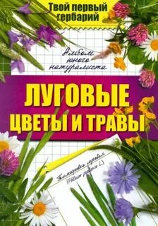 Методическое пособие луговые цветы
