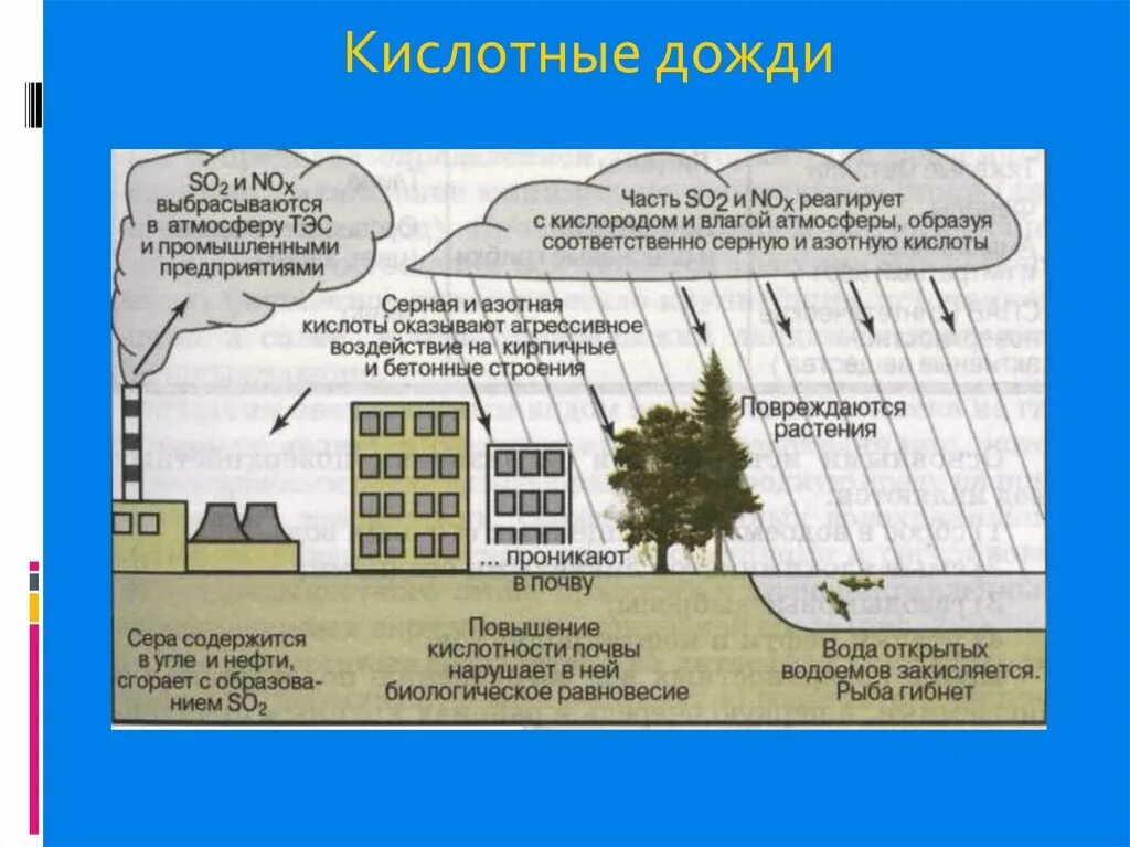 Причины образования осадков. Кислотные дожди. Кислотные осадки. Понятие кислотных дождей. Последствия образования кислотных осадков.