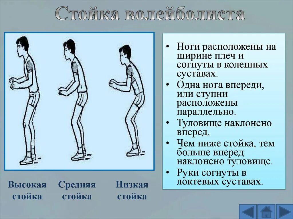 Чем отличается высокая. Стойки и перемещения волейболиста. Стойки и перемещения игрока в волейболе. Техника игры стойки в волейболе. Основные стойки волейболиста.