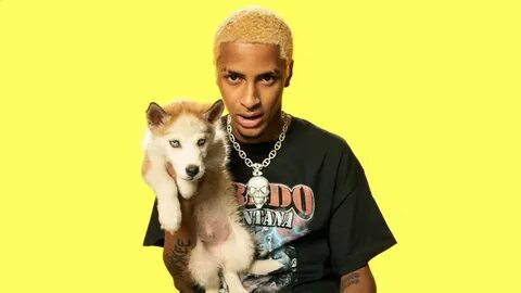 6 dogs