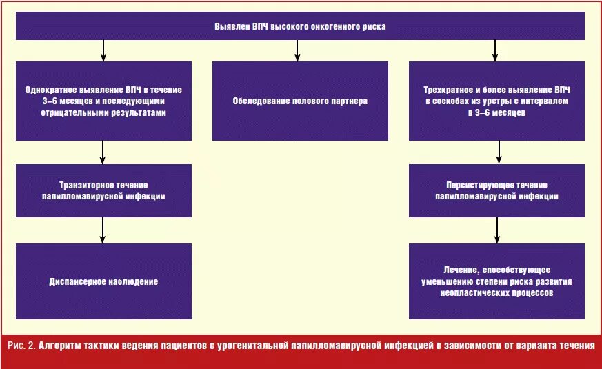 Алгоритм ведения пациенток с папилломавирусной инфекцией. Тактика ведения больного РС инфекцией. Выявление вируса папилломы человека.