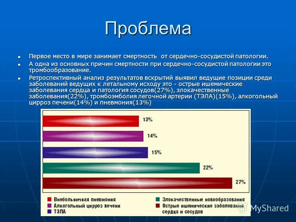 Компания занимает первое место в