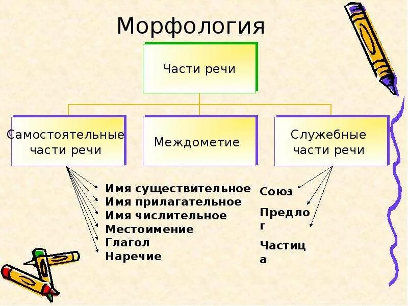 Сообщение на тему разделы