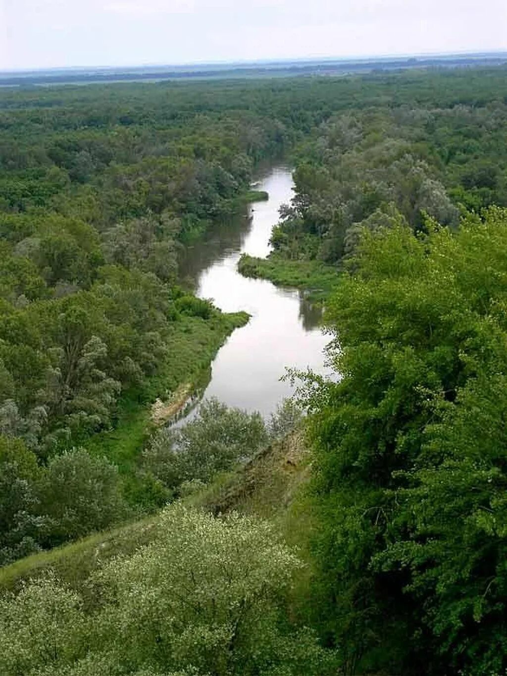 река медведица приток дона. волгоград река медведица. река медведица саратовская область. волгоградская обл медведица. река медведица волгоградская обл.