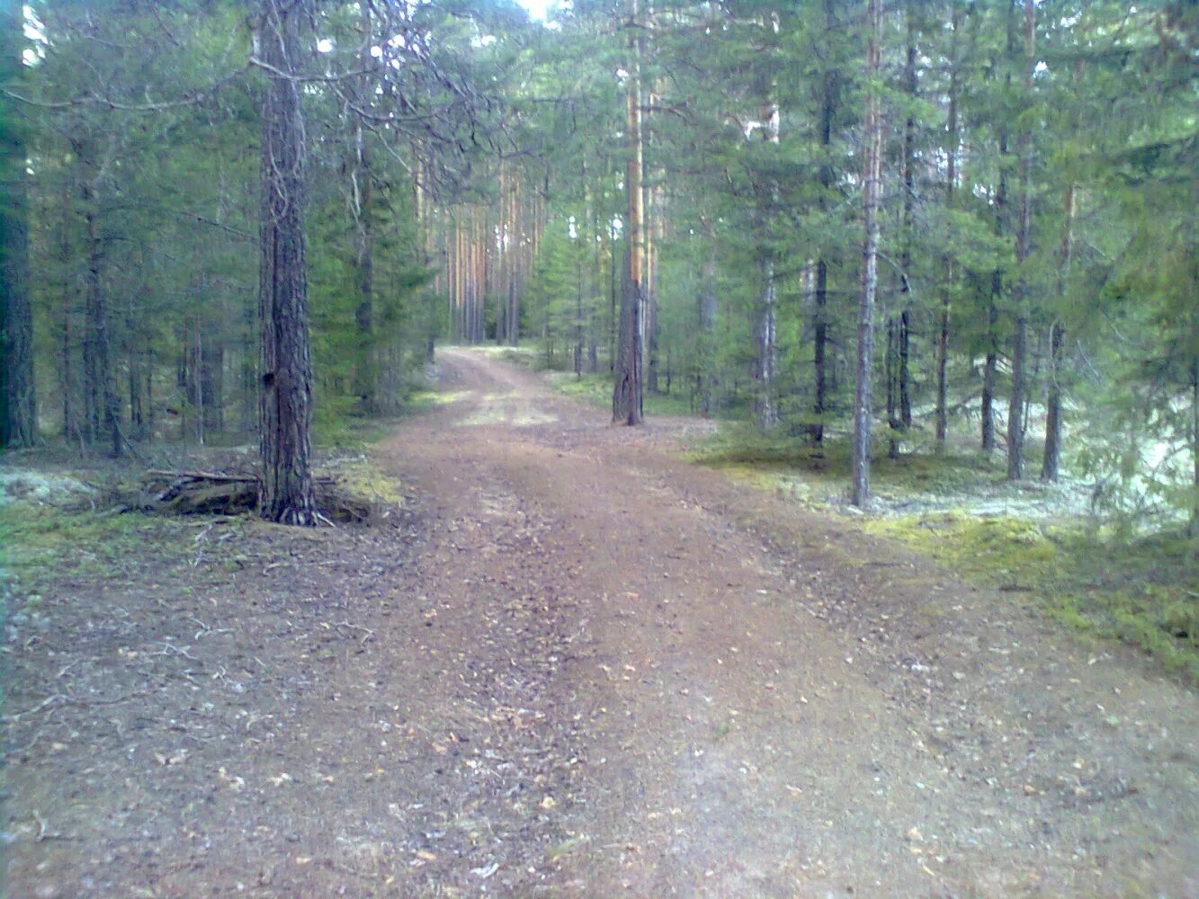 воробьевица костромской. деревня воробьёвица костромская область. воробьевица костромской. воробьевица костромская. деревня воробьёвица костромская область.