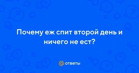Сплю два раза в сутки