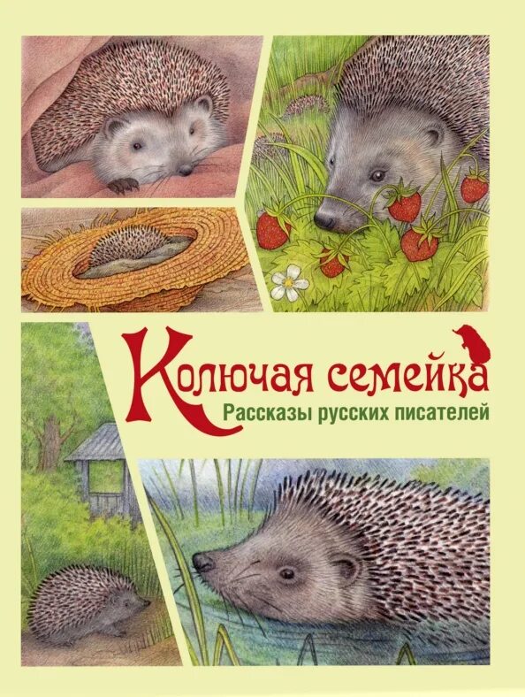 Скребицкий колючая семейка. Книги скребицкого. Еж скребицкого. Иллюстрация к рассказу скребицкого колючая семейка. Станция ежиха кировская область.