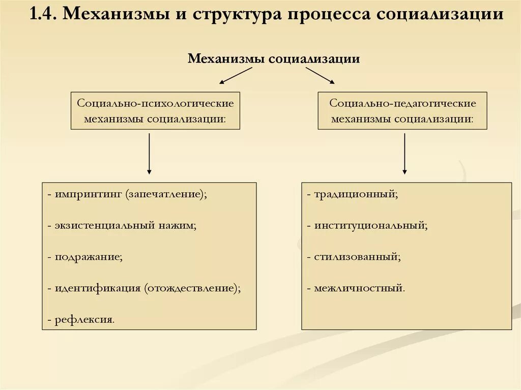 Назовите механизмы социализации