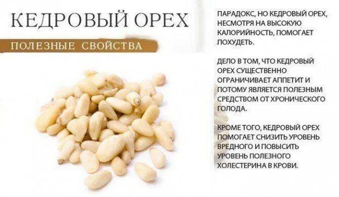 Чем полезны кедровве орнзи. Кедровые орехи польза и вред для мужчин. Чем полезен кедровый орех. Кедровые орехи польза. Чем полезен кедровый орех.