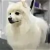 Салон бережной