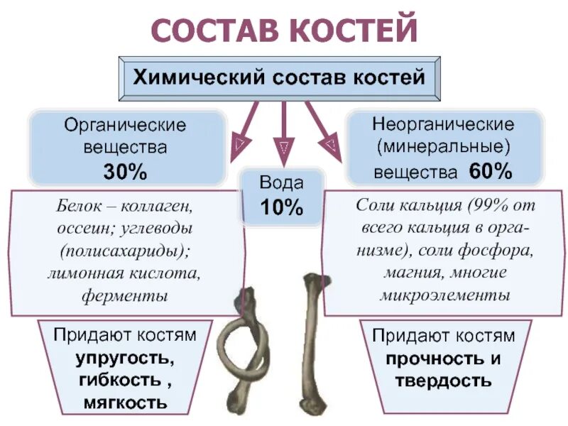 Костный как проверить