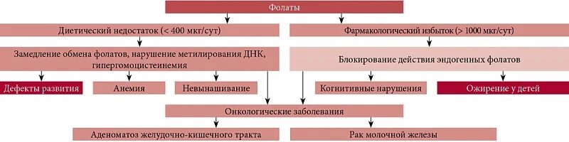 Переизбыток фолиевой