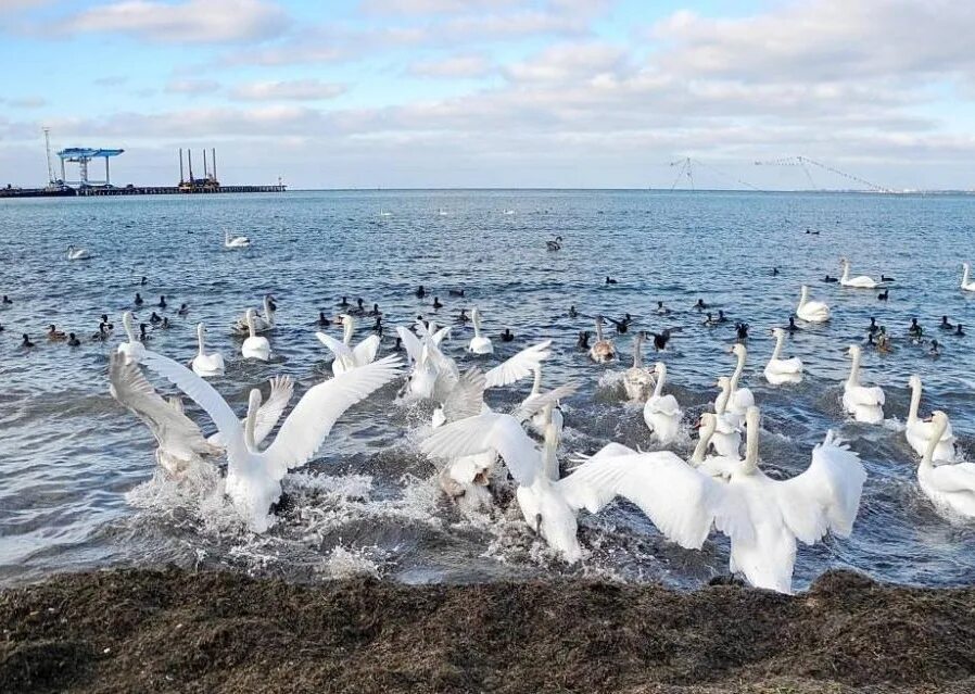 Почему в анапе холодное море. Анапа зимой. море в феврале анапа. анапа в апреле. анапа в феврале фото.