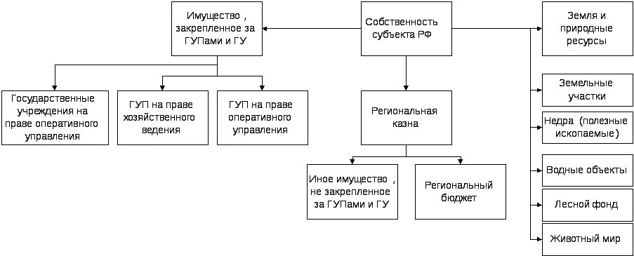 Объекты государственной собственности субъектов РФ. Собственность субъектов РФ примеры. Примеры собственности субъектов РФ примеры. Государственная собственность субъектов Федерации. Форма собственности субъекта рф