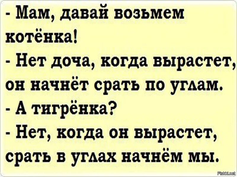 Пап купи котенка. Мама давай заведем котенка анекдот. Давай заведем тигренка анекдот. Мама давай возьмем котенка. Анекдот про давай.