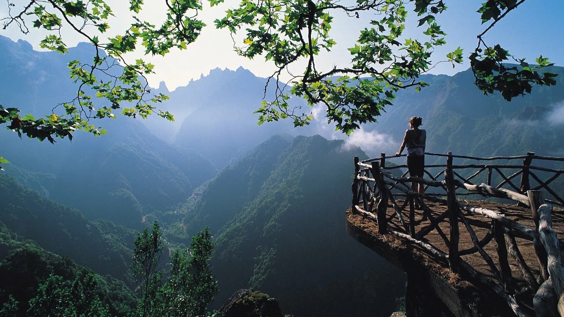 Nature search