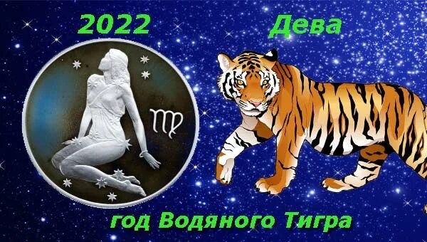 Стрелец тигр 2024