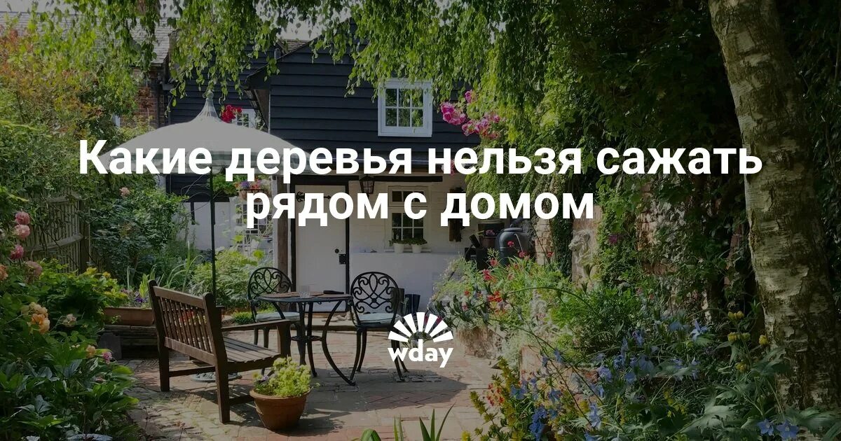 Какие деревья нельзя сажать дома. Ландшафтный дизайн дачного участка фото. Какие деревья нельзя сажать рядом с домом. Какие деревья нельзя сажать во дворе.