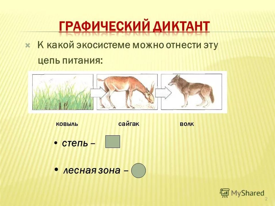 Составь цепи питания пустыни. Схема цепи питания характерной для пустыни 4 класс окружающий мир. Схема цепи питания пустыни 4 класс окружающий мир. Цепь питания в зоне пустынь. Цепь питания в пустыне схема 4 класс.