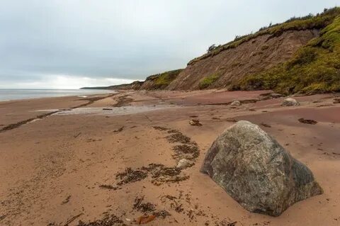 Краски белого моря