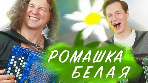 Ромашка песня садко