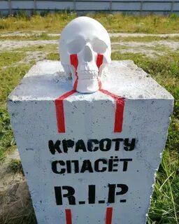 Голова здесь