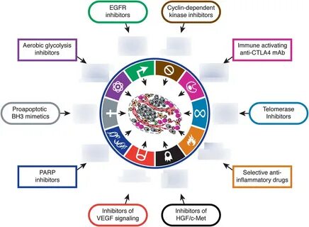 Cancer therapy