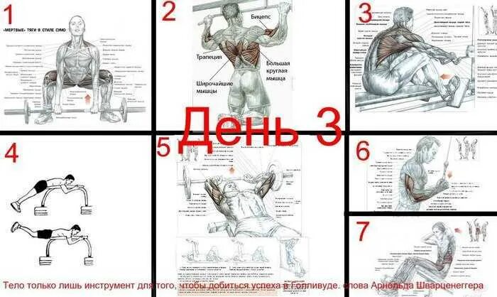 Основные упражнения для мужчин. Берпи отжимания комплекс. Упражнения бёрпи для похудения для мужчин. Упражнения для мышц. Берпи отжимания комплекс.