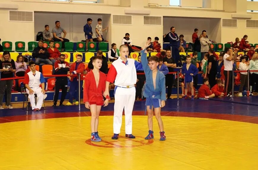 Школа самбо в мытищах. Самбо арена мытищи. Самбо мытищи. Центр единоборств мытищи. Всероссийский день самбо.