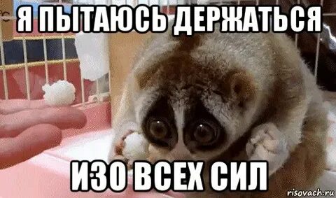 Ну старается
