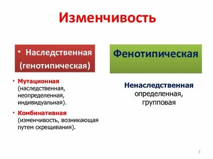 Основная изменчивость