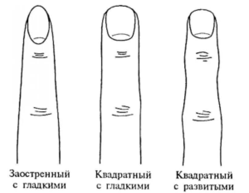 Форма ногтевой фаланги хиромантия. Форма пальцев на руках. Типы пальцев на руках. Коническая форма пальцев. Изменение формы руки