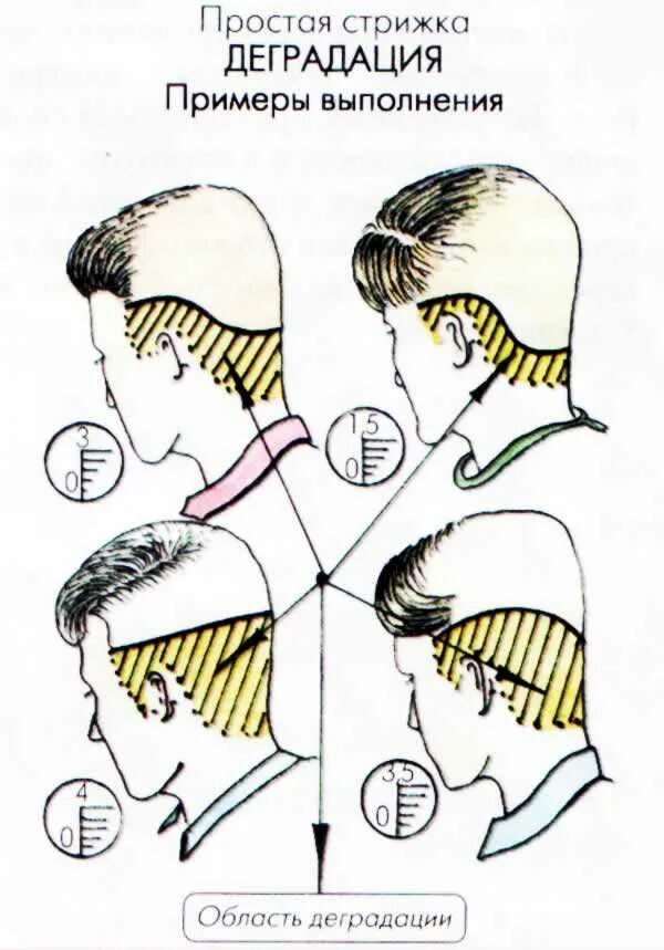 Технология выполнения мужской стрижки. Схема мужской стрижки машинкой полубокс. Схема стрижки канадка машинкой. Схема стрижки полубокс ножницами. Полубокс стрижка мужская короткая схема.